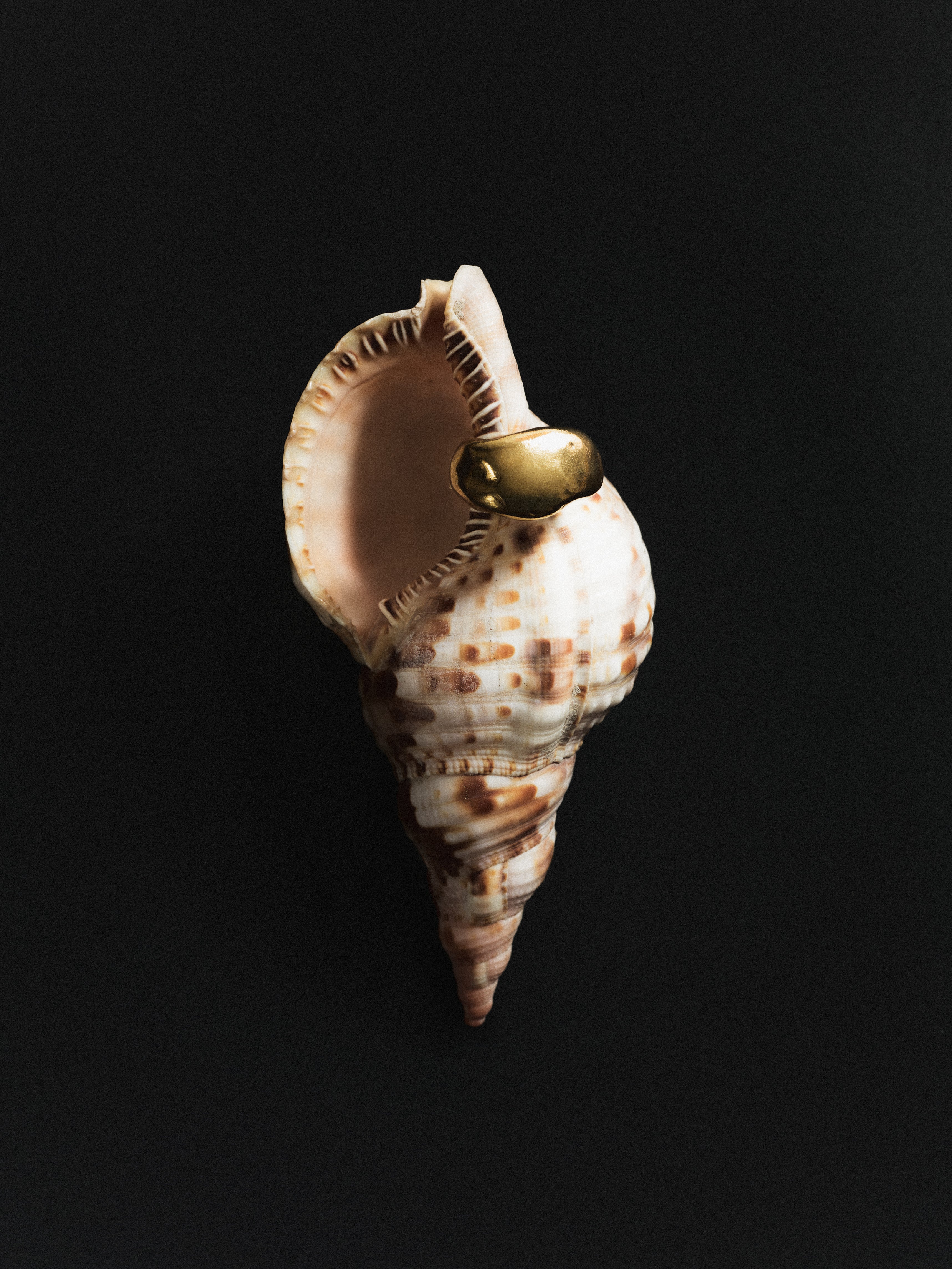 The Bassalt Ring — Gold