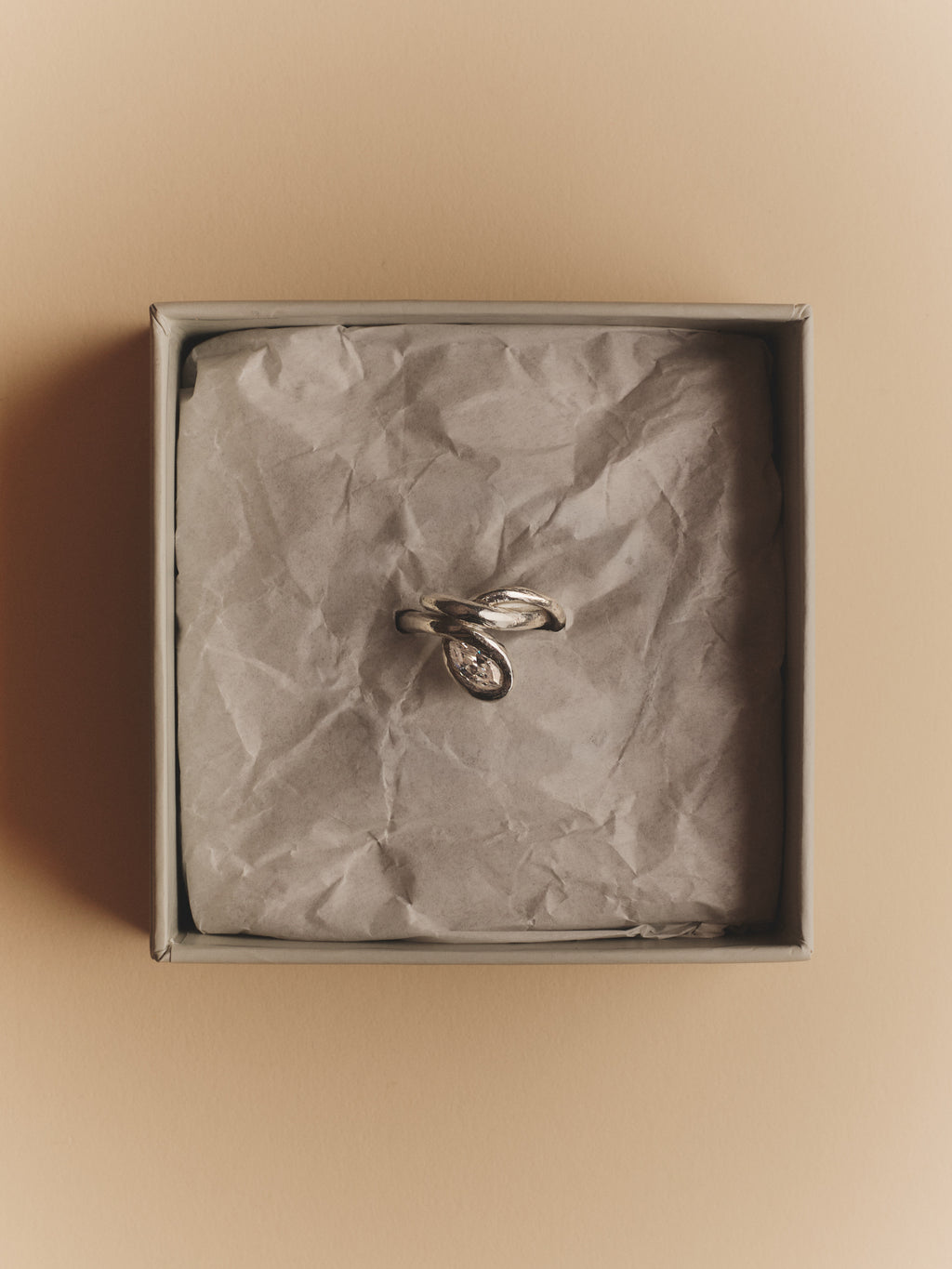 The Orbit Ring — Silver