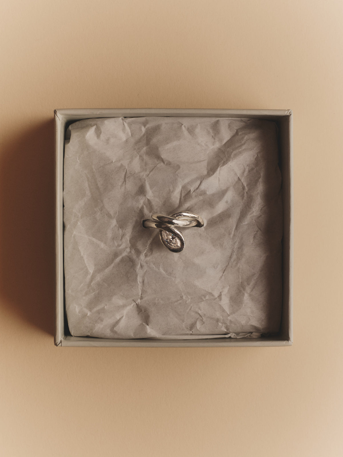 The Orbit Ring — Silver